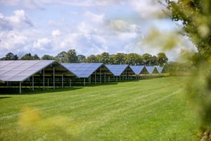 Solar energy 8