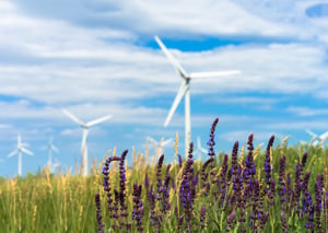 Wind Power-1